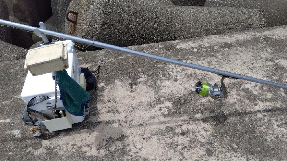 高砂港のキス釣り