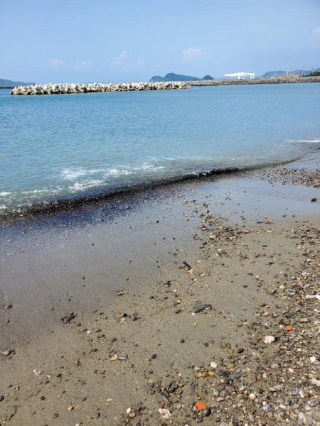 キス　大きくなり大漁