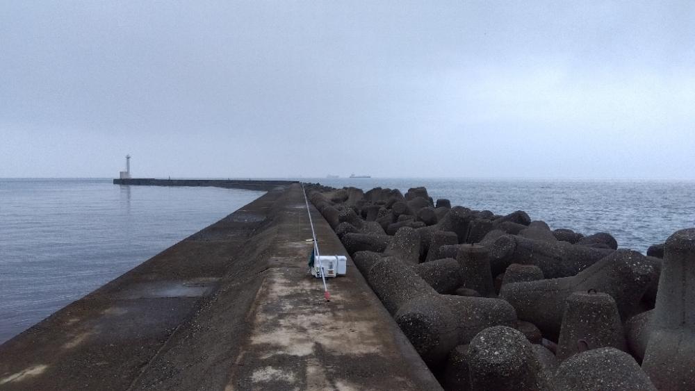 高砂港のキス釣り