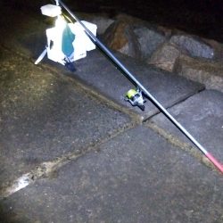 苅屋海岸のキス釣り