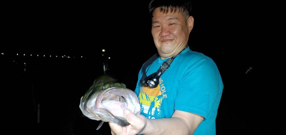 やっと出会えた