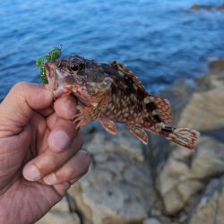 陸っぱり釣行記