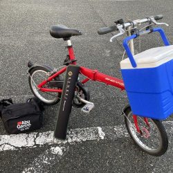 今年から2回目の浦港