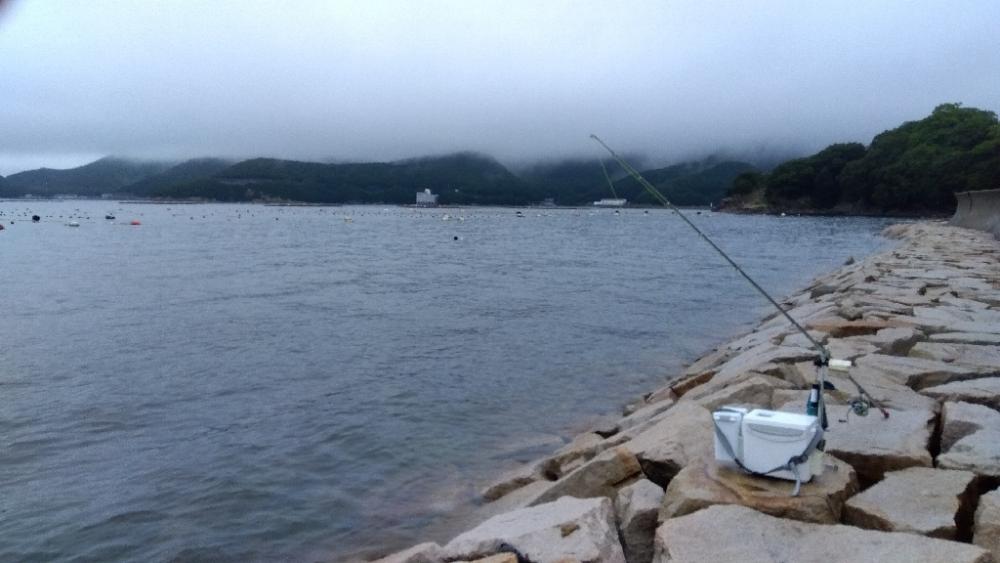 室津の投げ釣り