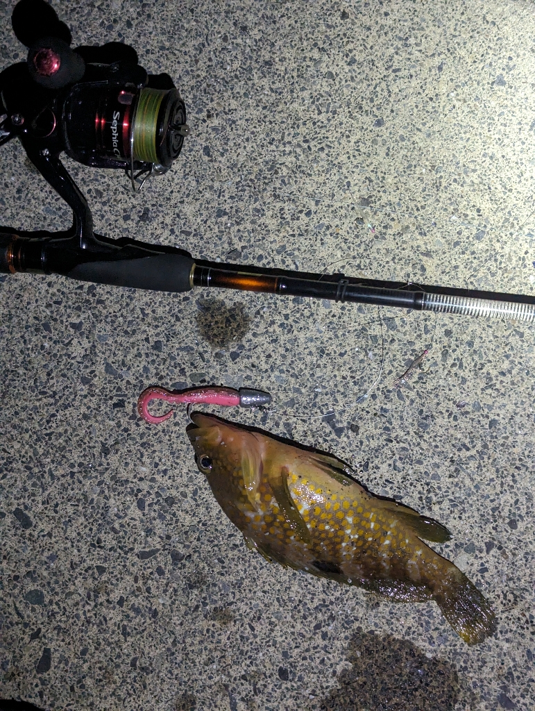 爆らない爆れないが好き