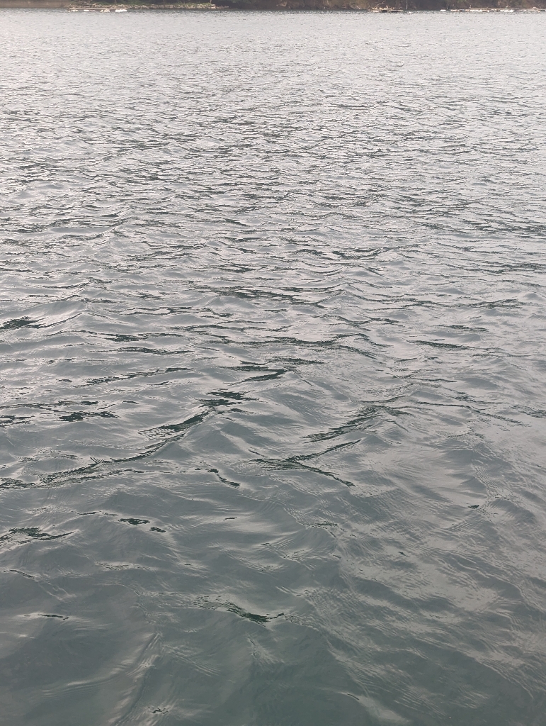 水潮のせいにしておこう