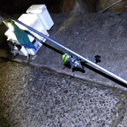 苅屋海岸のキス釣り