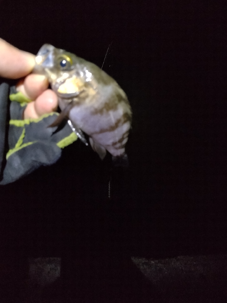 いい感じなのに