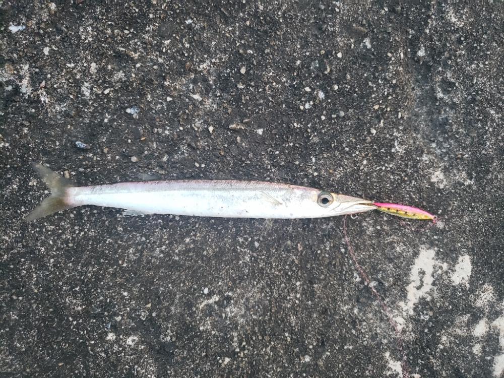 スーパーライトショアジギング