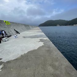 沼島磯釣り