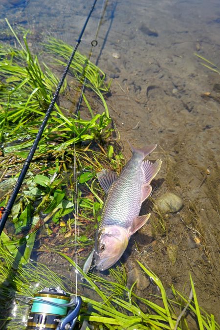 初めてのケタバス釣行