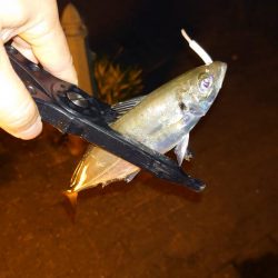 口閉じませんでした。