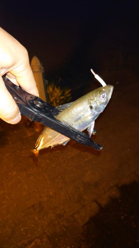 口閉じませんでした。