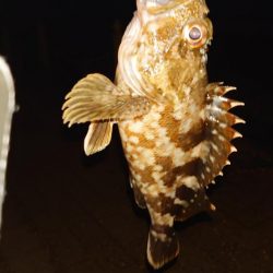 一つ謎が解けた