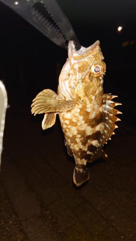 一つ謎が解けた