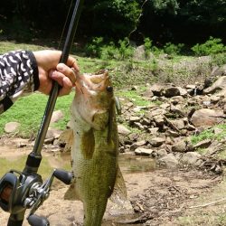 真っ昼間のサイトフィッシング