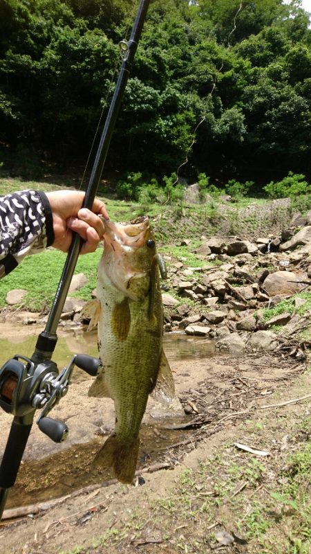 真っ昼間のサイトフィッシング