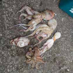 時合の一瞬だけ