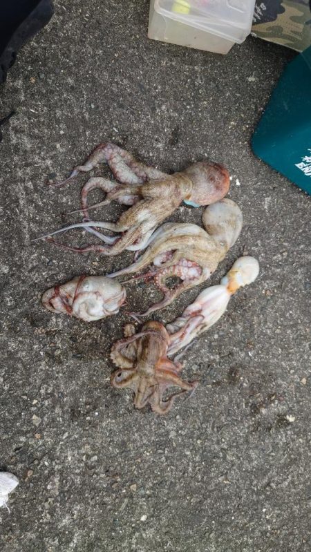 時合の一瞬だけ