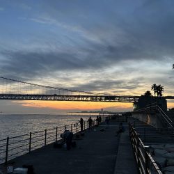 アジュール舞子アナゴ狙いバケモノサイズのガシラが釣れる!?