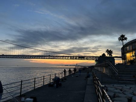 アジュール舞子アナゴ狙いバケモノサイズのガシラが釣れる!?