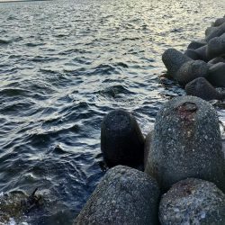 テトラで夕方に