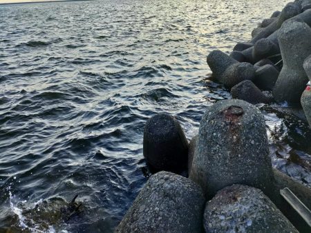 テトラで夕方に