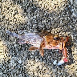 三重和歌山遠征 前半