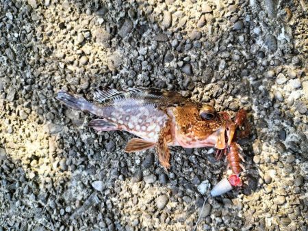 三重和歌山遠征 前半