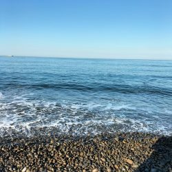 三重和歌山遠征 後半