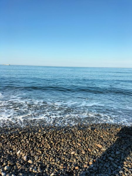 三重和歌山遠征 後半