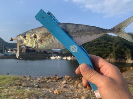 今日もアジフライ