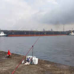 活性上がらない播磨新島のキス