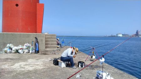 良型キスのブルブルは暫く先のようです