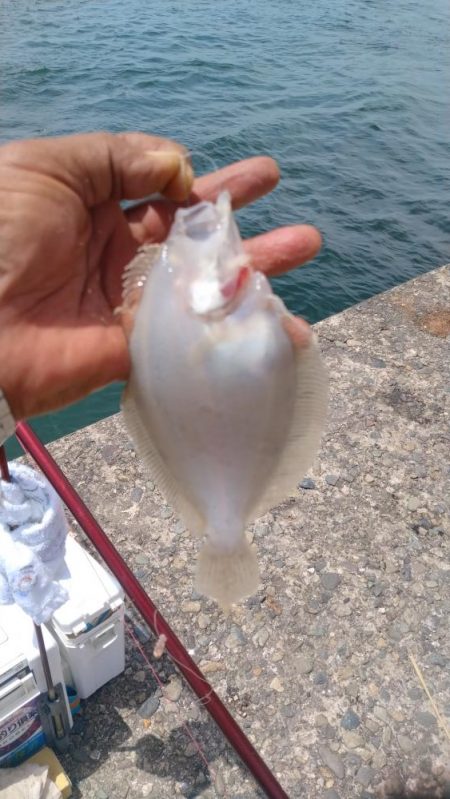 シーズン30回目の播磨新島釣行