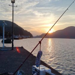 シーズン初の津居山釣行