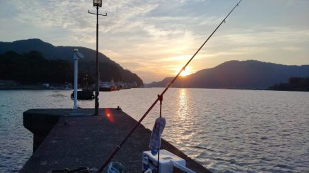 シーズン初の津居山釣行