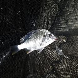 気持ちいい北風