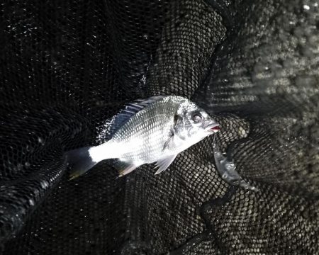 気持ちいい北風