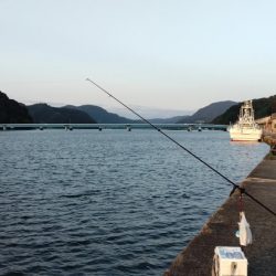 シーズン2回目の津居山釣行