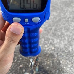 ありがとくしま