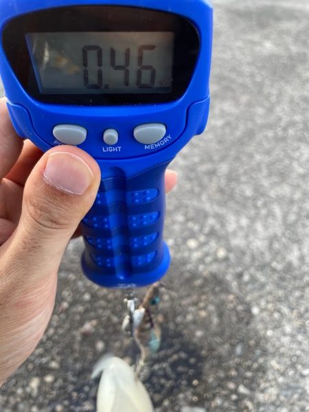 ありがとくしま