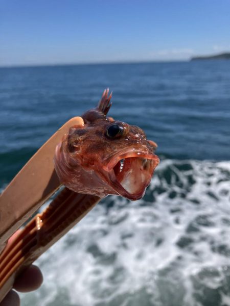 三邦丸さんでアジ釣り