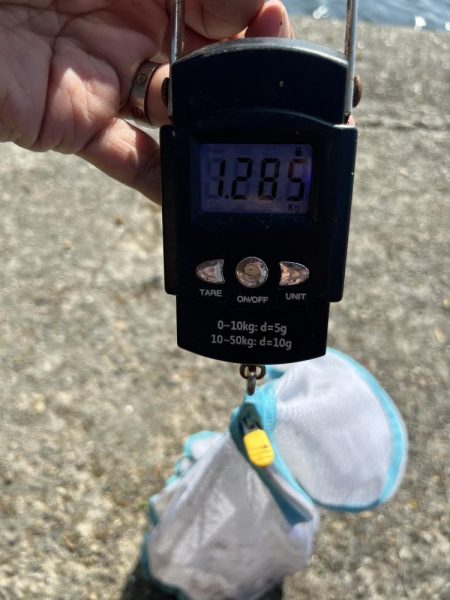 まあまあ型揃い