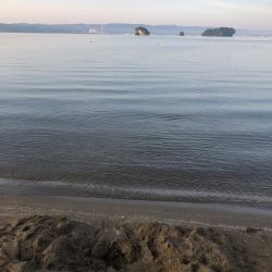 サーフでキス狙い