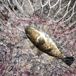 久しぶりの再会