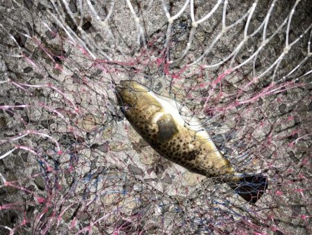 久しぶりの再会