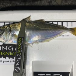 最終日、サイズアップ成らず!