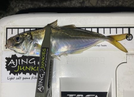 最終日、サイズアップ成らず!