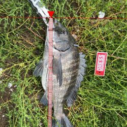 雨でも釣行！！